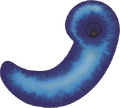 Thumbnail for version as of 08:20, 22 September 2026