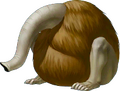 Nozuchi