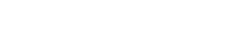 File:P1PSP US Logo.png