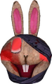 White Bunny