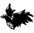Black Raven