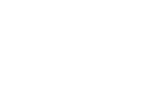 P3R Logo White.png