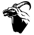 Bicorn