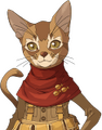 Cat Lieutenant General Zula
