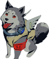 AOA Finisher Portrait