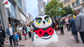 Lufel mascot suit