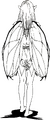 Back artwork by Katsumi Aizaki for Giten Megami Tensei: Tokyo Revelation