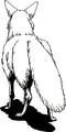Back artwork of Kitsune