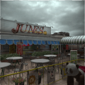 Junes during cloudy weather