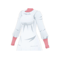 Cook's Apron