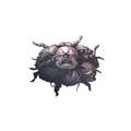 Legion