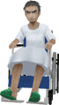 Dojima in a wheelchair model
