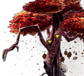 Jubokko