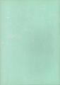 Inner Cover