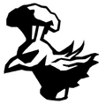 Suzaku