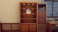 Display Case