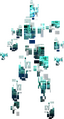 Person Type