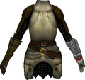 Plain Knight