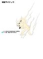 Design sheet from Shin Megami Tensei III: Nocturne