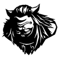 Minotaur IV