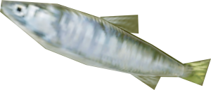P4G Inaba Trout Weapon Model.png