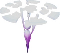 Polaris (Phase 2 - Map)
