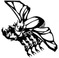Adamant Beetle