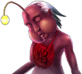 Enku