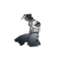 Take-Minakata