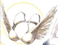 Seraph Bra