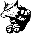 Yatsufusa