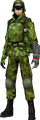 Olive Camouflage