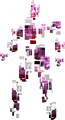 Person Type (Quests)