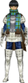 Ulster Armor