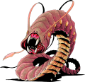 Worm