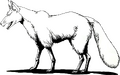 Side artwork of Kitsune
