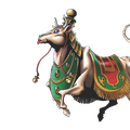 Nandi
