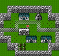 Fly Village