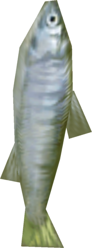 P4G Inaba Trout Fish Model.png
