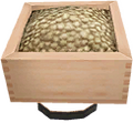 COMP of the Bean