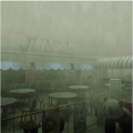 Junes during fog and rain