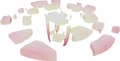 Polaris (Phase 1 - Map)