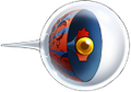 Zosma (Red)