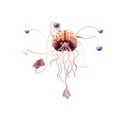 Omoikane