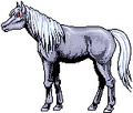 Side sprite of White Shadow