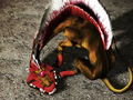 Render from Shin Megami Tensei: Imagine