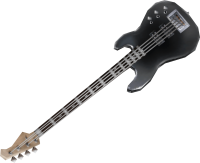 P4G Bass Model.png