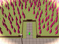 Lost Forest