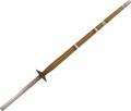 Protagonist's Musashi Shinai
