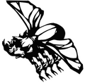 Grave Beetle
